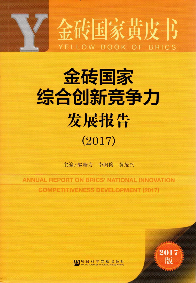 91白丝被操视频在线观看金砖国家综合创新竞争力发展报告（2017）